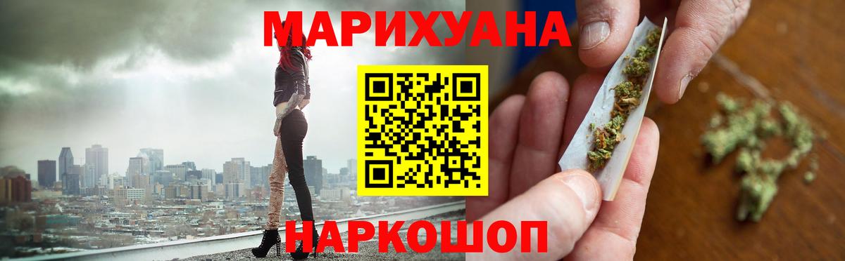 МЕФ Сыктывкар